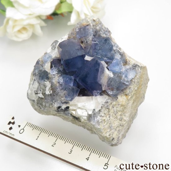 ꥫ ˥塼ᥭ TEAA Mine ֥롼ե饤ȡХ饤ȡʤθ No.3μ̿4 cute stone