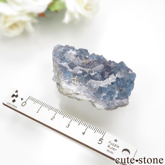 ꥫ ˥塼ᥭ TEAA Mine ֥롼ե饤ȡХ饤Ȥθ No.6μ̿5 cute stone