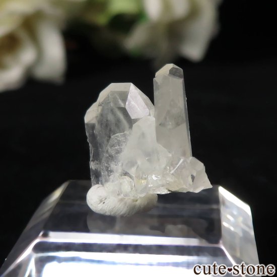 ꥫ ˥塼ᥭ San Pedro Mine ܼоʥġ徽 No.1μ̿0 cute stone