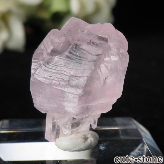 ֥饸 ߥʥ饤 Taquaral Ĥη뾽 No.4μ̿1 cute stone