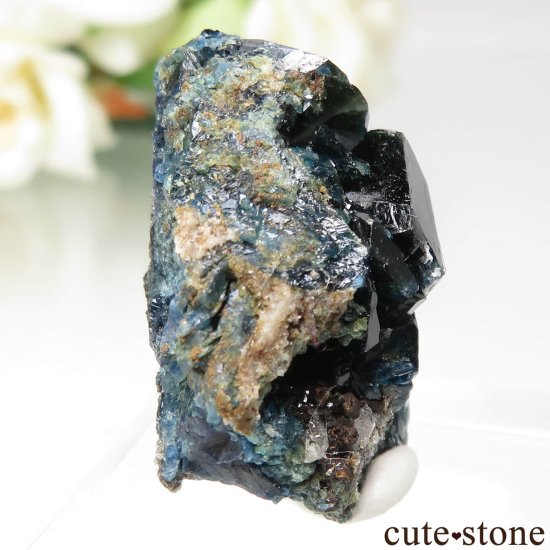 ʥ 桼 ԥåɥ꡼ 饺饤(ŷ)ǥ饤Ȥθ No.37μ̿0 cute stone