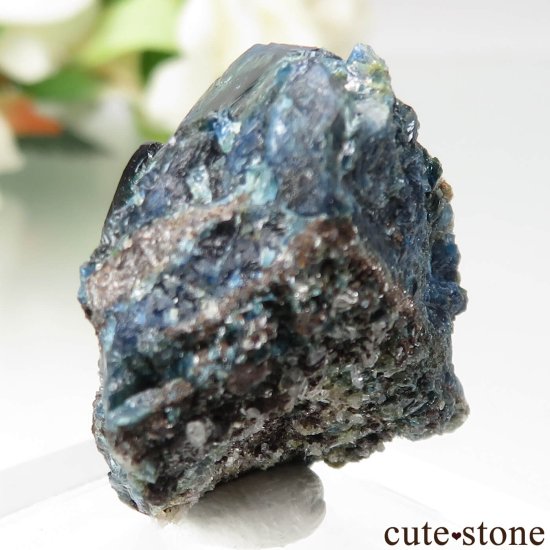 ʥ 桼 ԥåɥ꡼ 饺饤(ŷ)ǥ饤Ȥθ No.37μ̿1 cute stone