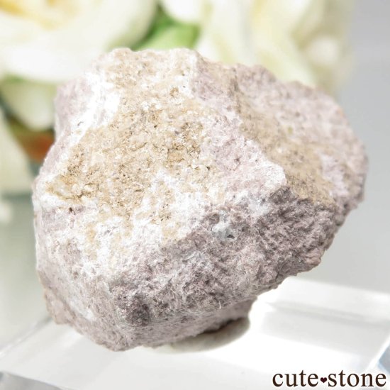 ꥫ ͥХ White Pine ڥƥ󥬡ͥåȡĤθ No.1μ̿1 cute stone