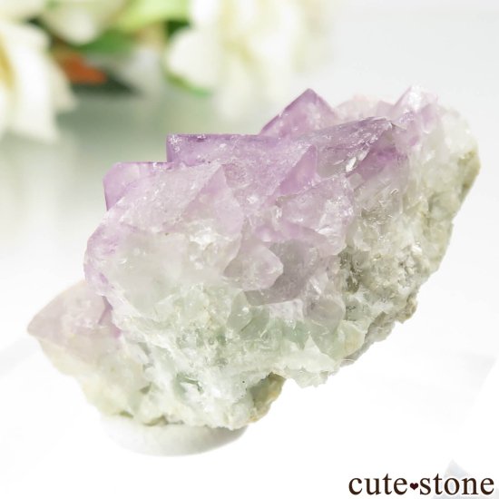 ꥫ ˥塼ᥭ Judith Lynn Claim ѡץߥ꡼ե饤Ȥθ No.1μ̿1 cute stone