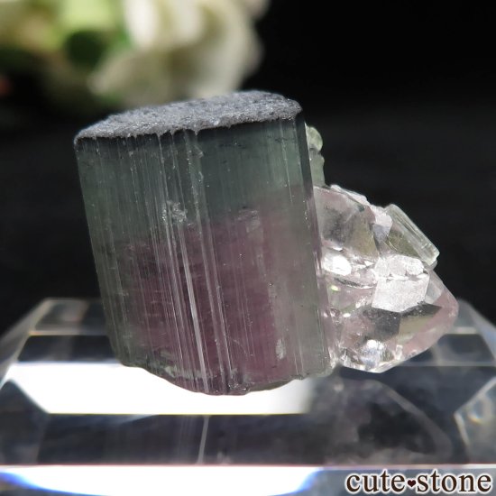 ブラジル Aricanga mine産 ウォーターメロントルマリン＆クォーツの原石 No.4 - cute stone -