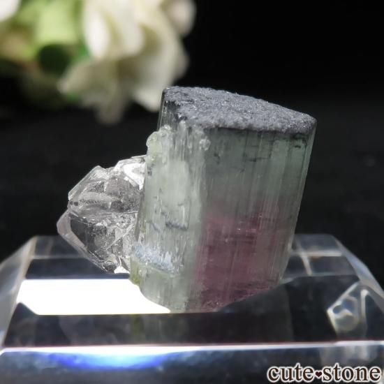 アリカンガ鉱山産 ウォーターメロントルマリン&レピドライト【鉱物標本】 アリカンガ鉱山産 ウォーターメロントルマリン&レピドライト