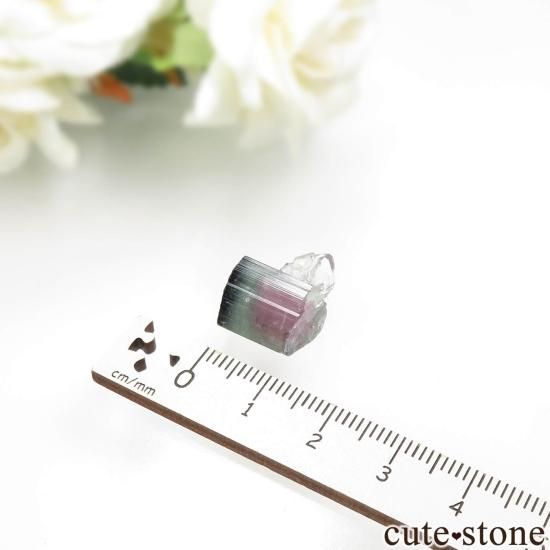 アリカンガ鉱山産 ウォーターメロントルマリン&レピドライト【鉱物標本】 アリカンガ鉱山産 ウォーターメロントルマリン&レピドライト【鉱物標本】