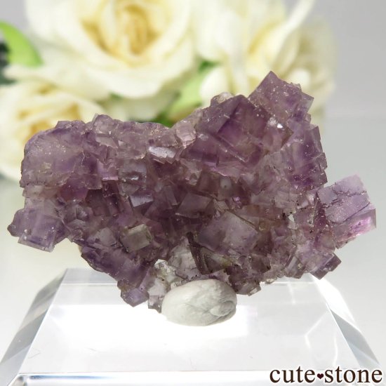 イリノイ州 Cave-in-Rock産 パープルフローライトの原石 No.19の写真1 cute stone