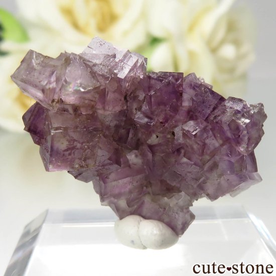 イリノイ州 Cave-in-Rock産 パープルフローライトの原石 No.20の写真1 cute stone