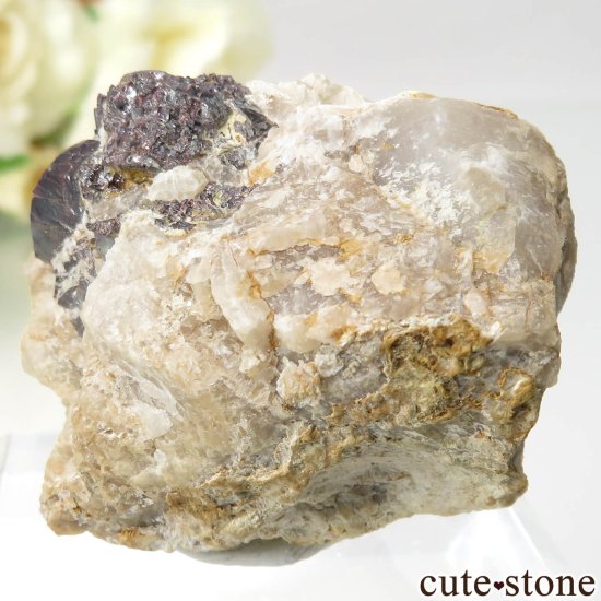 ꥫ ե˥ Champion Mine θ No.1μ̿1 cute stone
