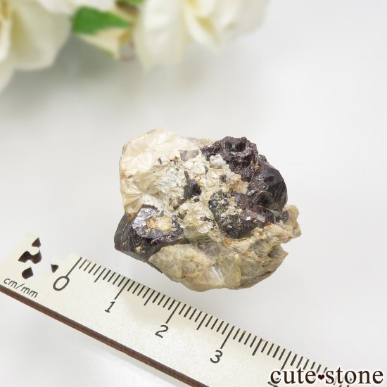 ꥫ ե˥ Champion Mine θ No.1μ̿3 cute stone