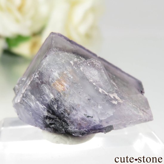 コロラド州 Wild Blue Indian Mine産 パープル×グリーンフローライトの原石 No.1の写真1 cute stone