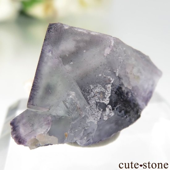 コロラド州 Wild Blue Indian Mine産 パープル×グリーンフローライトの原石 No.1の写真2 cute stone