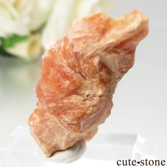 ꥢ Gambatesa Mine 󥼥ʥȤθ No.1μ̿1 cute stone