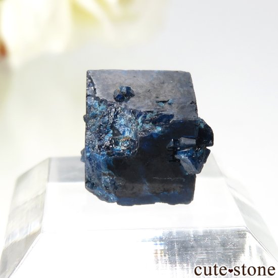 ᥭ Amelia Mine 礭ʥܥ쥢Ȥθ No.7μ̿1 cute stone