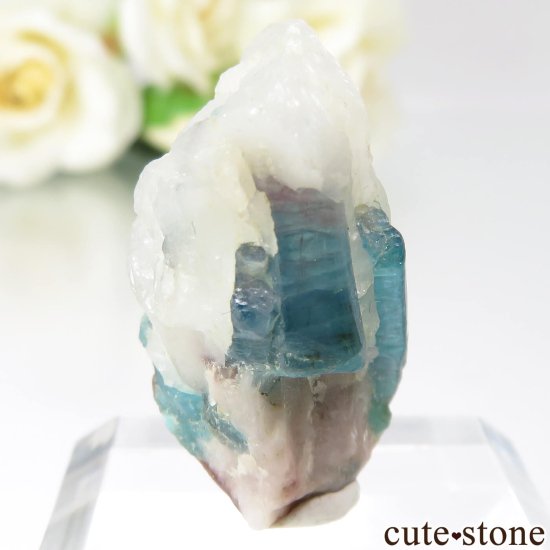 ڴ̽ա ֥饸 ѥ饤н ѥ饤Хȥޥθ No.1μ̿4 cute stone