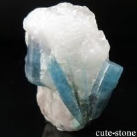 ڴ̽ա ֥饸 ѥ饤н ѥ饤Хȥޥθ No.1β