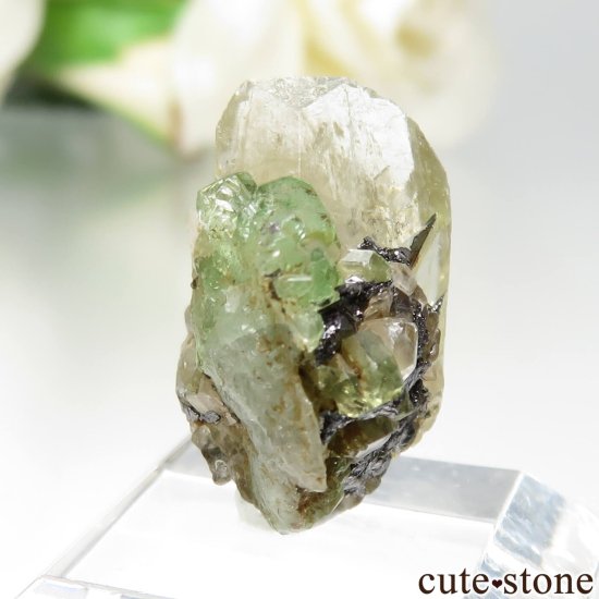 󥶥˥ ĥܥ饤ȡץȤθ No.29μ̿0 cute stone