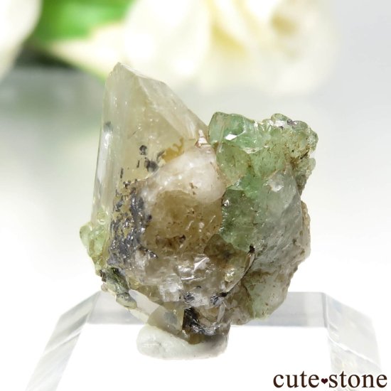󥶥˥ ĥܥ饤ȡץȤθ No.29μ̿1 cute stone