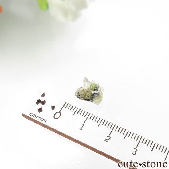 󥶥˥ ĥܥ饤ȡץȤθ No.29μ̿3 cute stone