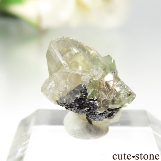 󥶥˥ ĥܥ饤ȡץȤθ No.30μ̿0 cute stone