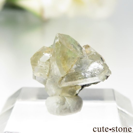 󥶥˥ ĥܥ饤ȡץȤθ No.30μ̿1 cute stone