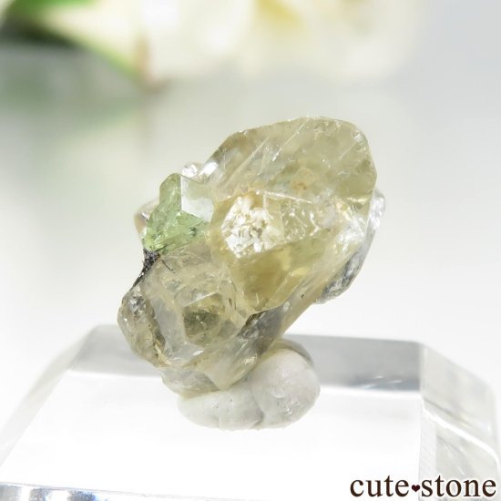 󥶥˥ ĥܥ饤ȡץȤθ No.30μ̿2 cute stone