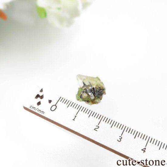 󥶥˥ ĥܥ饤ȡץȤθ No.30μ̿3 cute stone