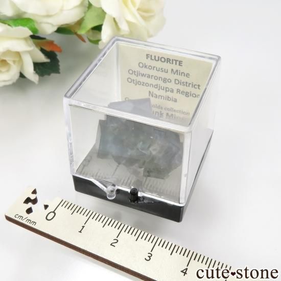 Gene Raynold's collection ʥߥӥ Okorusu Mine ꡼ߥ֥롼ե饤Ȥμ̿2 cute stone