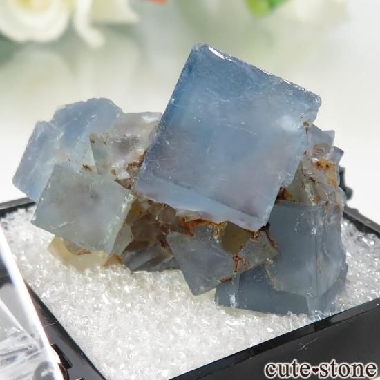 Gene Raynold's collection ꥫ ˥塼ᥭ Blanchard Mine ե饤Ȥμ̿0 cute stone