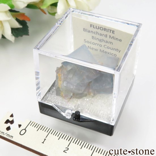 Gene Raynold's collection ꥫ ˥塼ᥭ Blanchard Mine ե饤Ȥμ̿2 cute stone