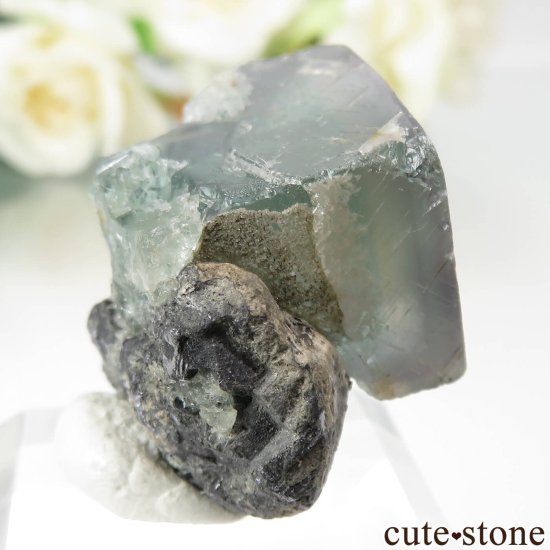 󥰥 Heights Mine ե饤Ȥθ No.1μ̿0 cute stone