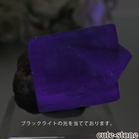 󥰥 Heights Mine ե饤Ȥθ No.1μ̿4 cute stone