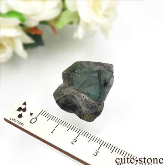 󥰥 Heights Mine ե饤Ȥθ No.1μ̿5 cute stone