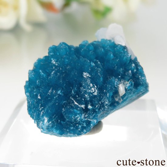  ץ͡ Х󥵥ȡƥХȤθ No.42μ̿2 cute stone