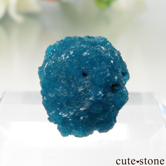  ץ͡ Х󥵥Ȥθ No.43μ̿0 cute stone