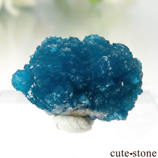  ץ͡ Х󥵥Ȥθ No.43μ̿1 cute stone
