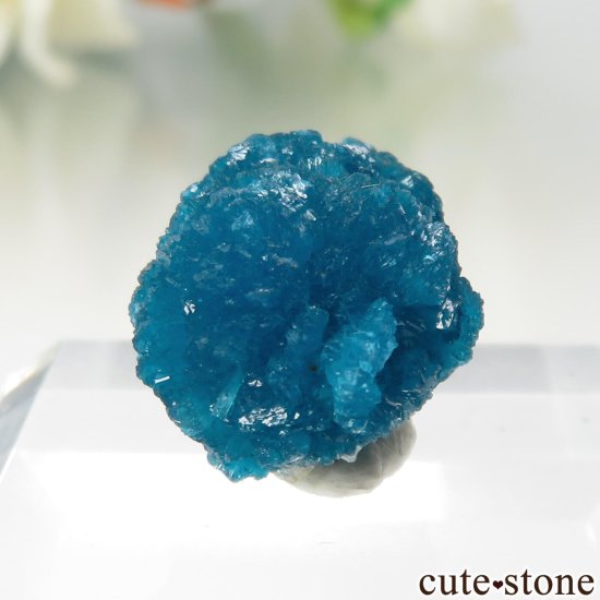  ץ͡ Х󥵥Ȥθ No.43μ̿2 cute stone