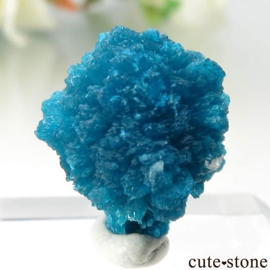  ץ͡ Х󥵥Ȥθ No.44μ̿1 cute stone