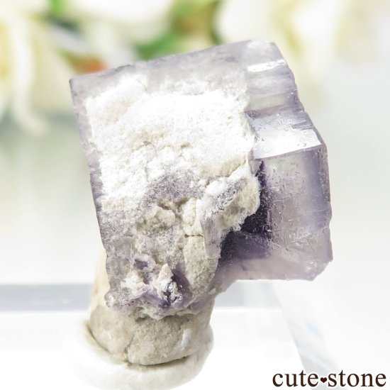 ꥫ ϥ Auglaize Quarry ե饤Ȥθ No.3μ̿0 cute stone