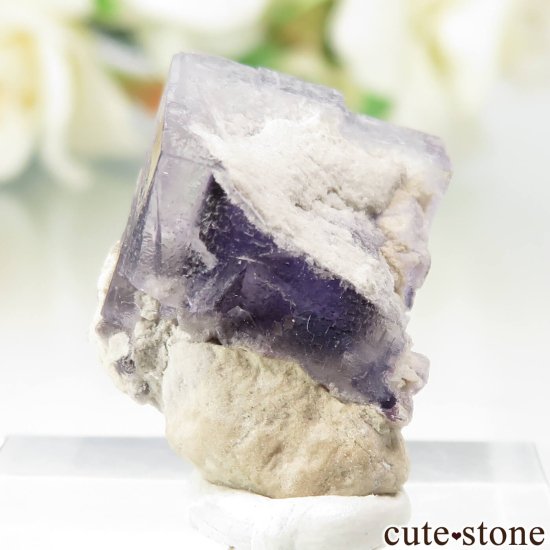ꥫ ϥ Auglaize Quarry ե饤Ȥθ No.3μ̿1 cute stone