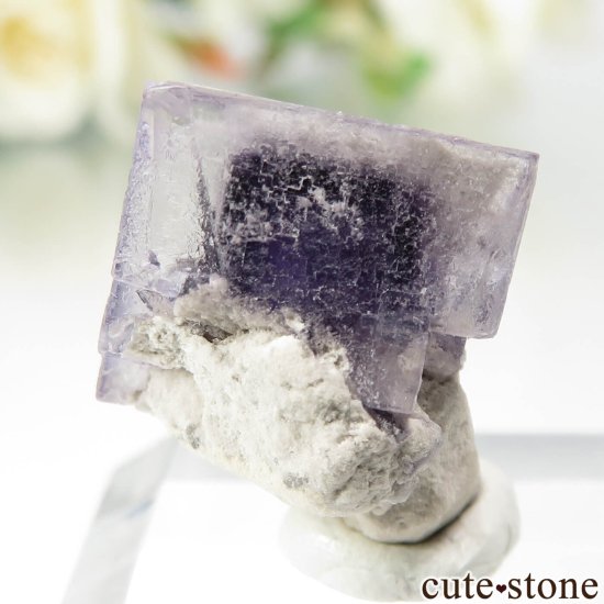 ꥫ ϥ Auglaize Quarry ե饤Ȥθ No.3μ̿2 cute stone