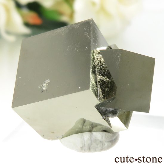 ڥ Navajun ѥ饤Ȥθ No.2μ̿0 cute stone