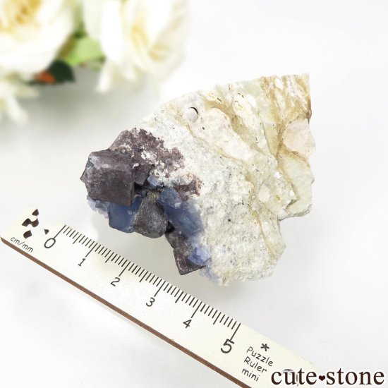 ꥫ ˥塼ᥭ TEAA Mine ֥롼ե饤ȡʤθ No.8μ̿3 cute stone