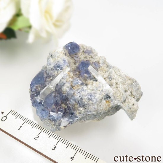 ꥫ ˥塼ᥭ TEAA Mine ֥롼ե饤ȡХ饤Ȥθ No.9μ̿3 cute stone