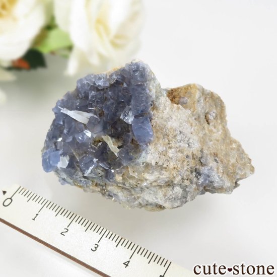 ꥫ ˥塼ᥭ TEAA Mine ֥롼ե饤ȡХ饤ȡʤθ No.10μ̿3 cute stone