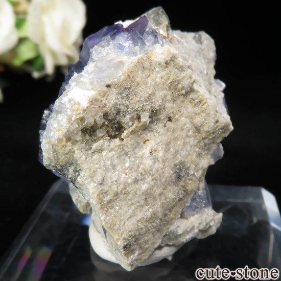 ꥫ ˥塼ᥭ TEAA Mine ֥롼ե饤ȡʤθ No.11μ̿1 cute stone