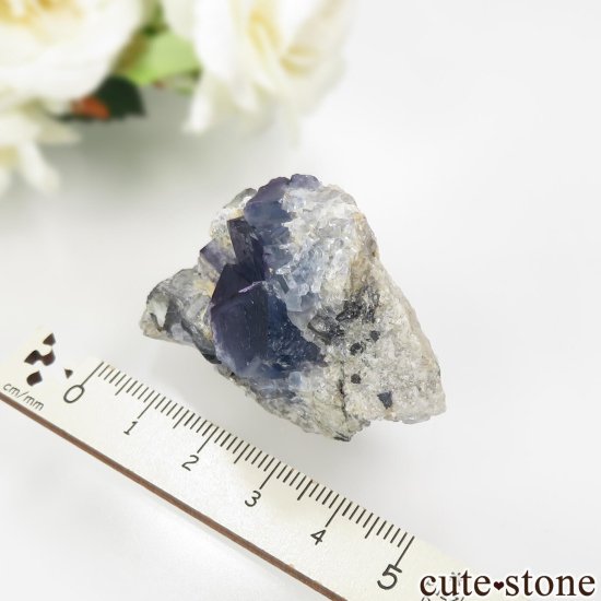 ꥫ ˥塼ᥭ TEAA Mine ֥롼ե饤ȡʤθ No.11μ̿3 cute stone