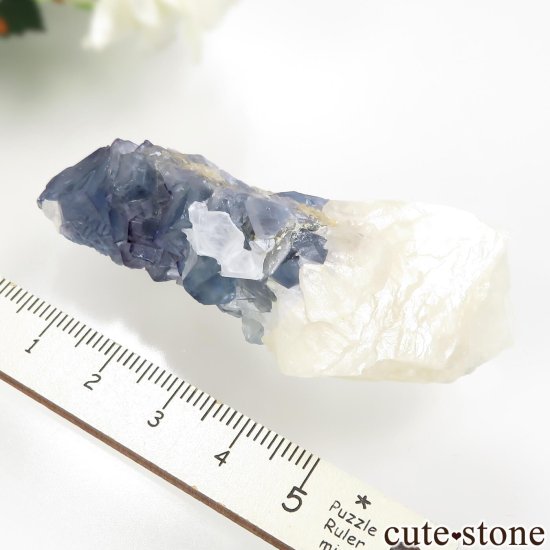 ꥫ ˥塼ᥭ TEAA Mine ֥롼ե饤ȡХ饤ȡʤθ No.12μ̿4 cute stone