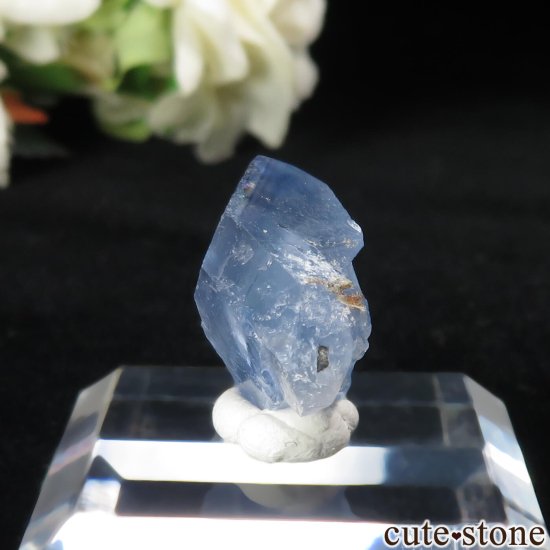ꥫ ˥塼ᥭ TEAA Mine ֥롼ե饤Ȥθ No.14μ̿2 cute stone